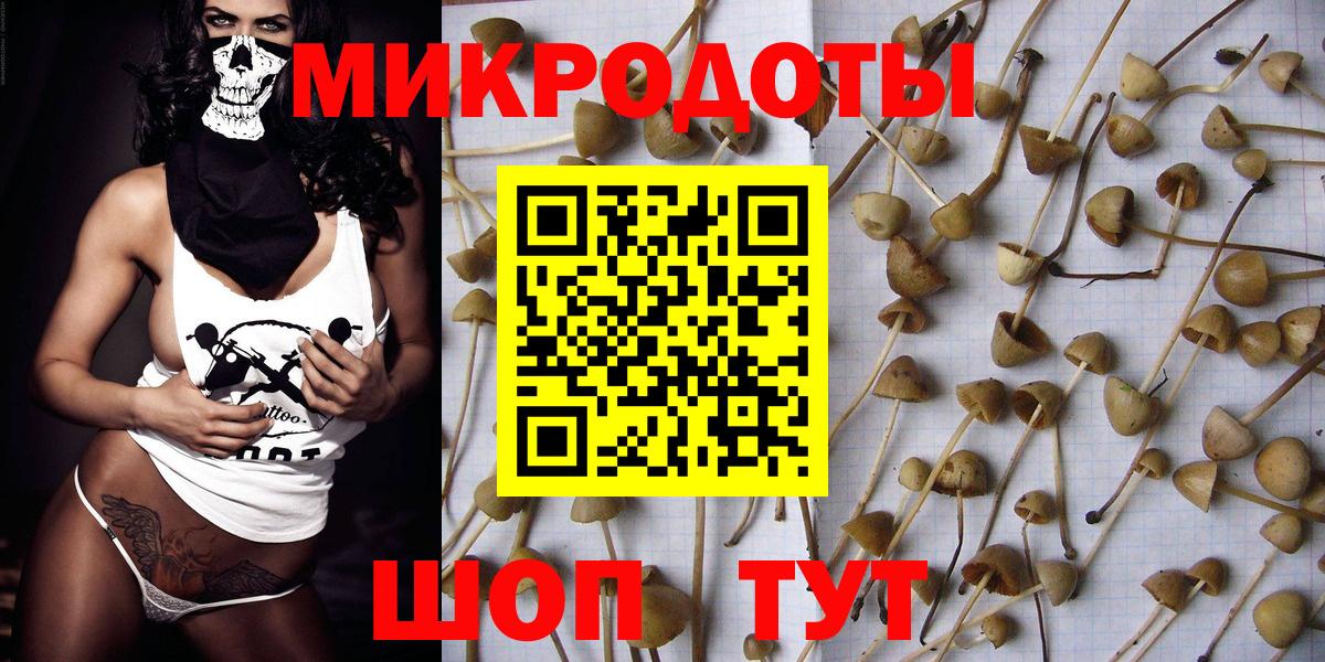 Псилоцибиновые грибы GOLDEN TEACHER  Вход с VPN  Казань 