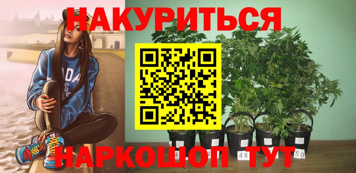 Бошки марихуана AK-47 Казань